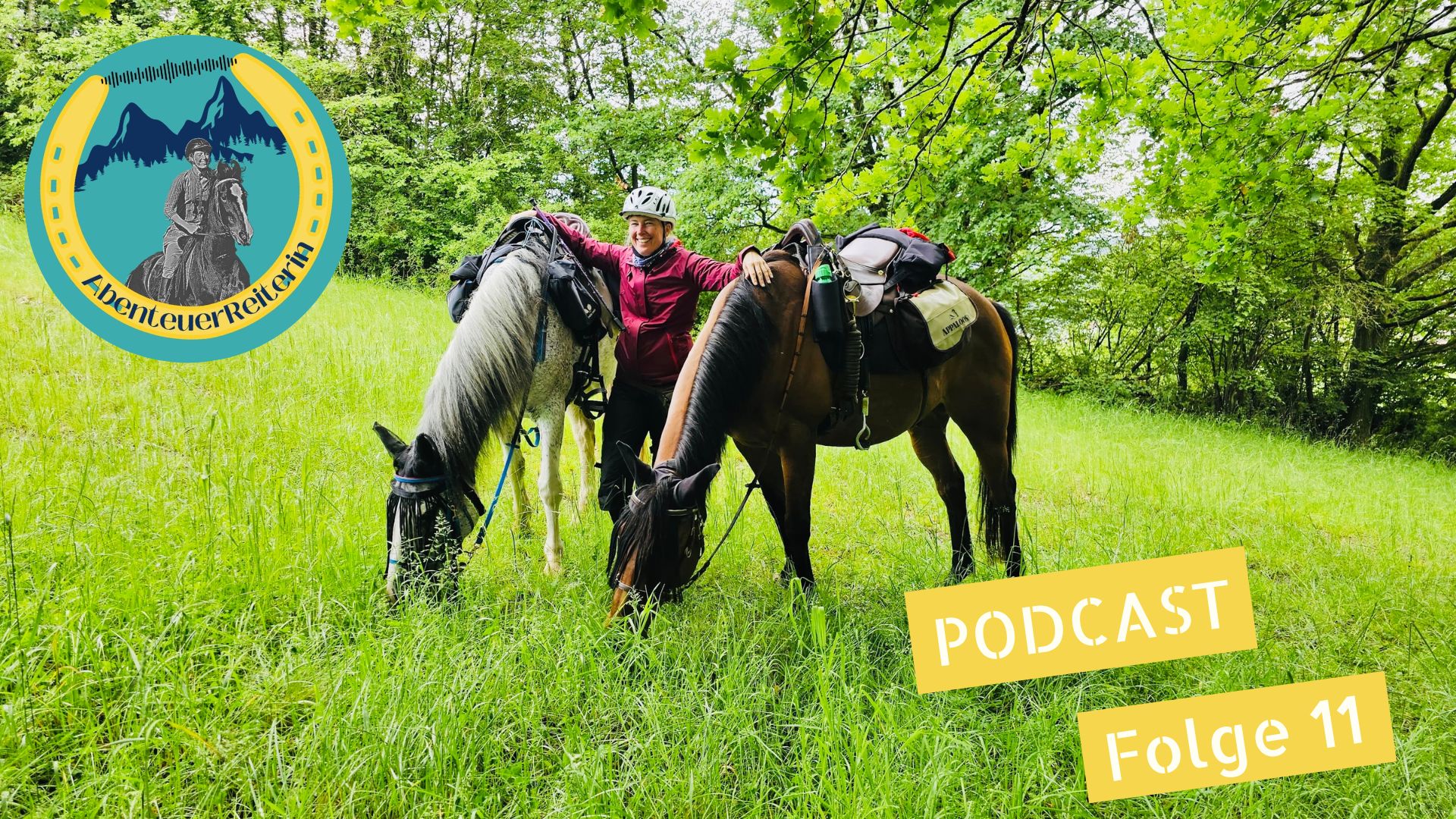 AbenteuerReiterin Folge 11: Wanderritt Odenwald