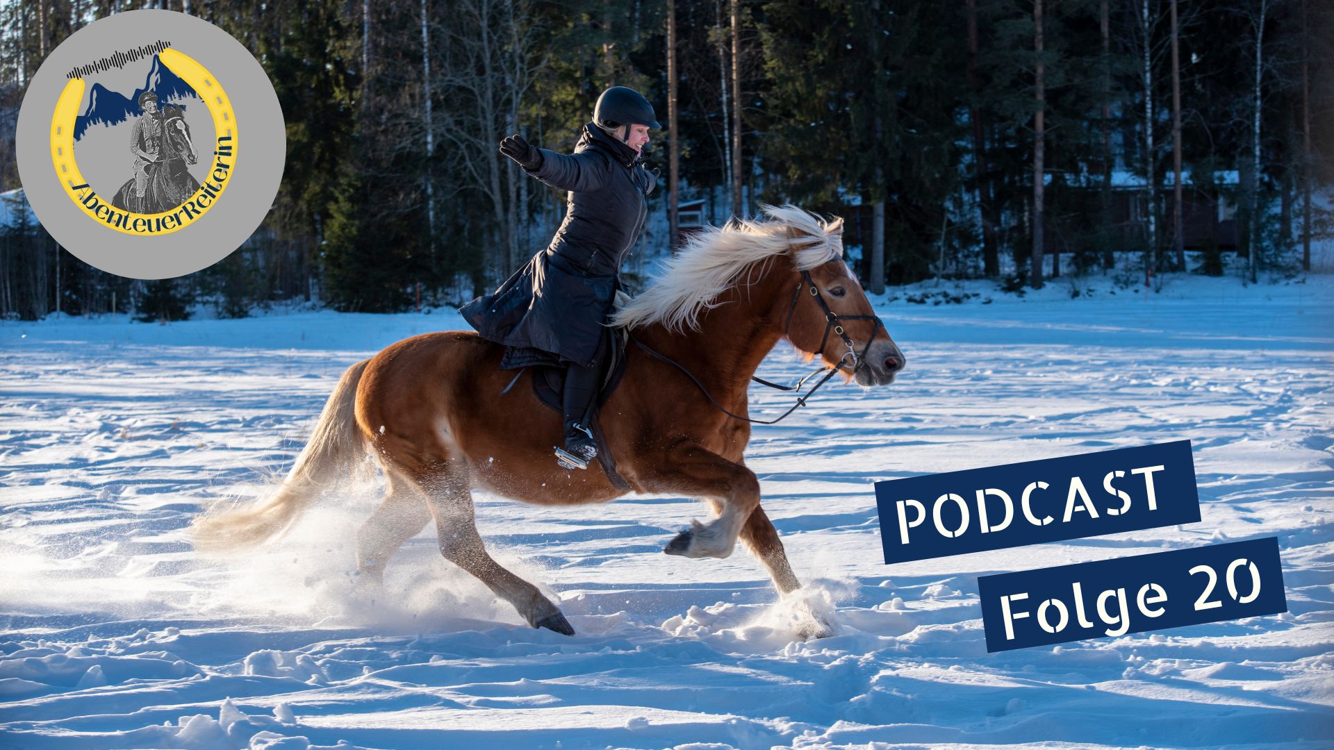 AbenteuerReiterin Ep20: Reiten im Winter