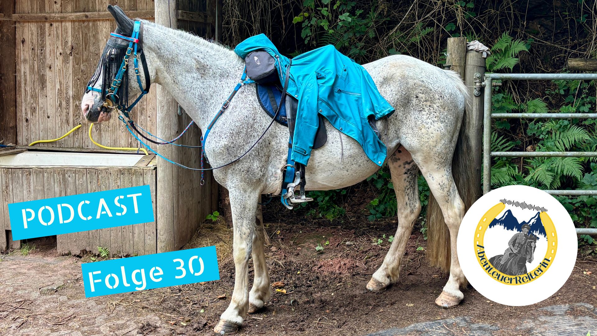 AbenteuerReiterin Folge 30: Leder oder Biothane?