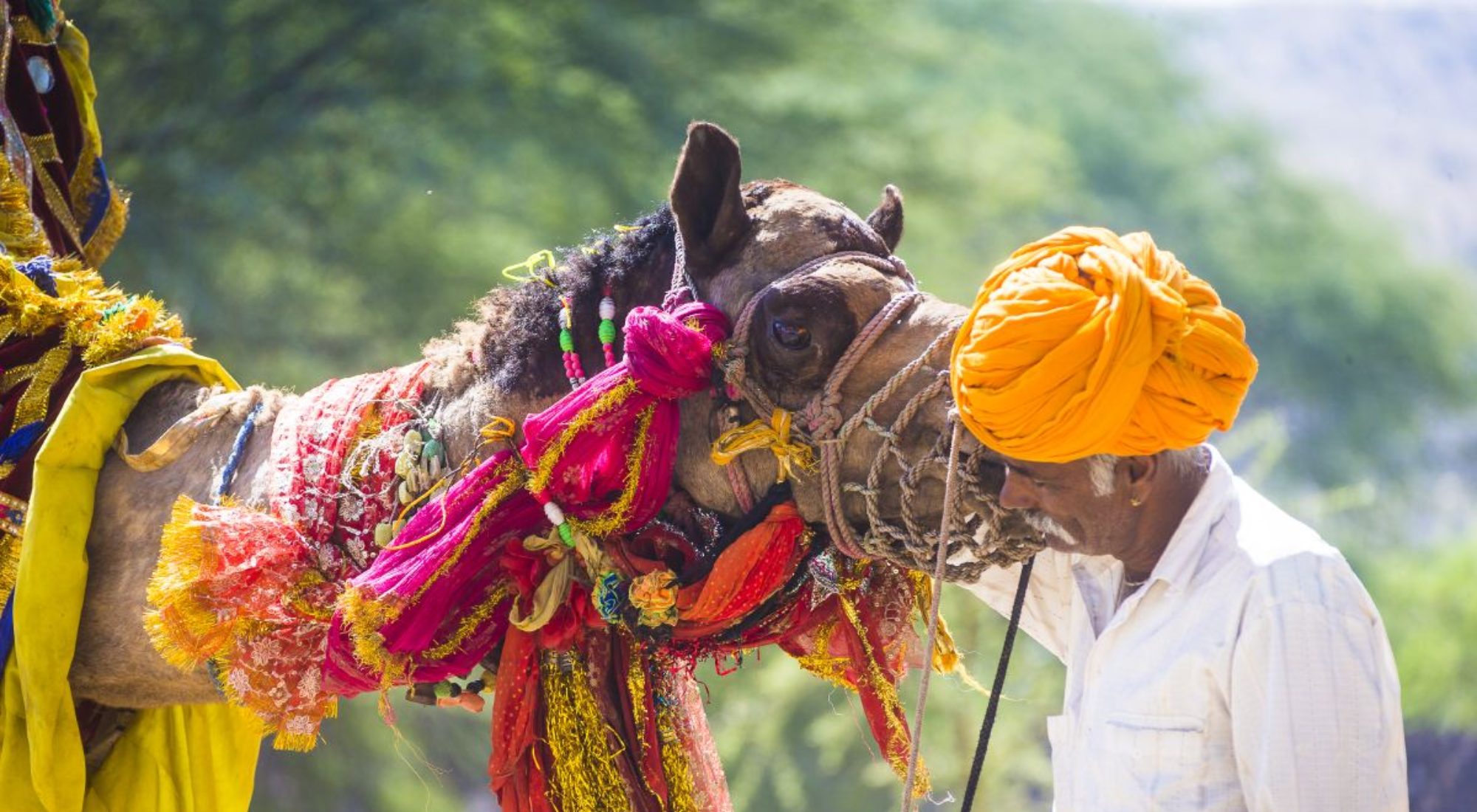 Gunguroo Leben Als Deutsche Frau In Indien Aktuelles Alltagliches Und Kritisches Zum Thema Indien